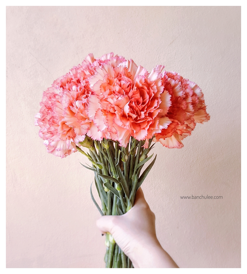 Shabby Chic Metal Shelf ชั้นวางของ โลหะ สีขาว