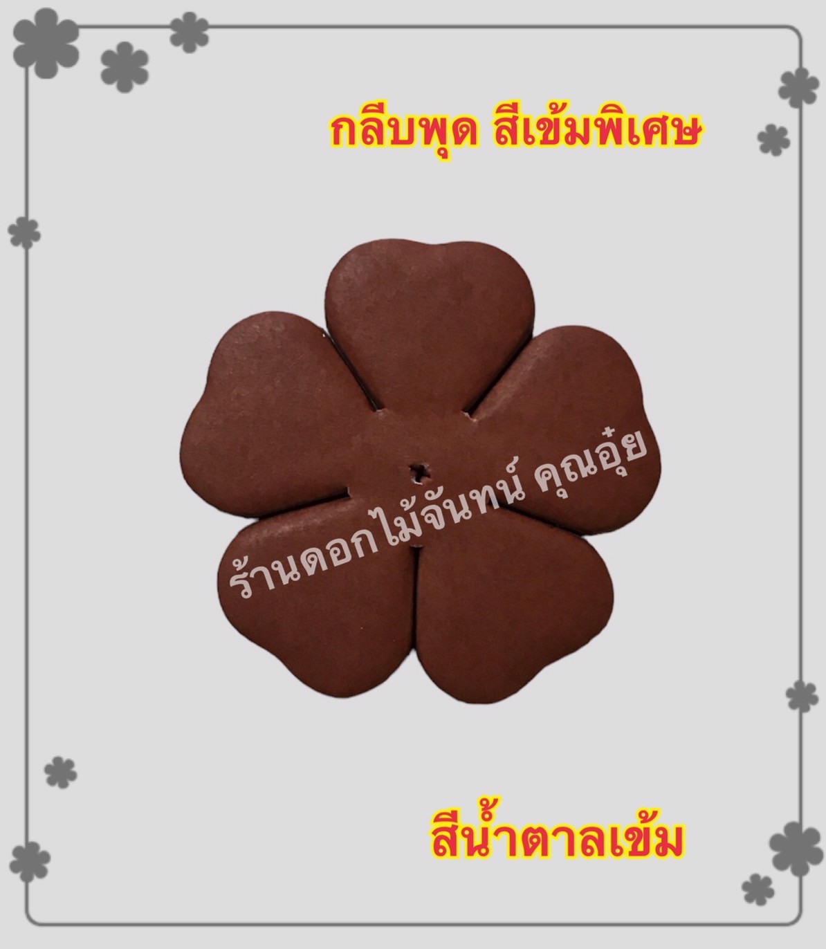 กลีบพุด สีน้ำตาลเข้ม