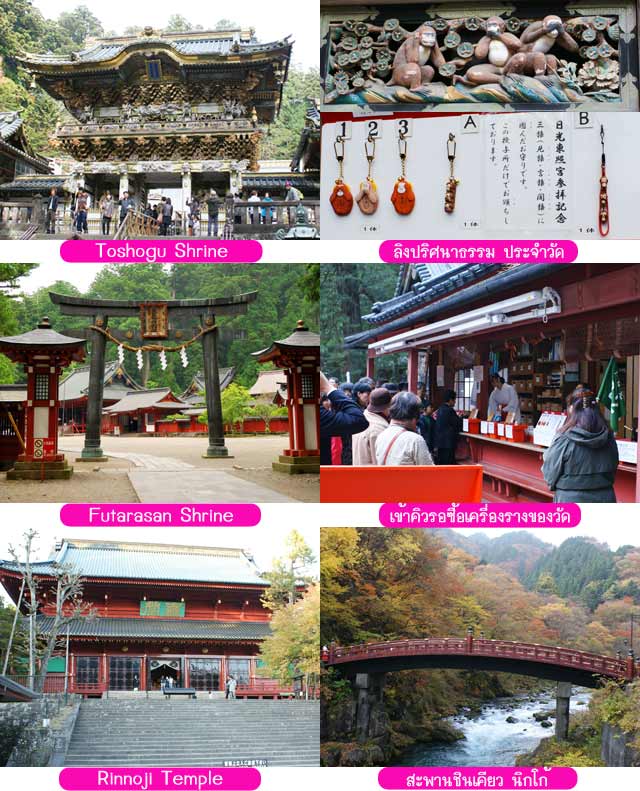 Monkey ผ้าไหมญี่ปุ่น