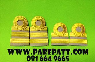 อินทรธนูลูกจ้าง,อินทรธนูพนักงานราชการ