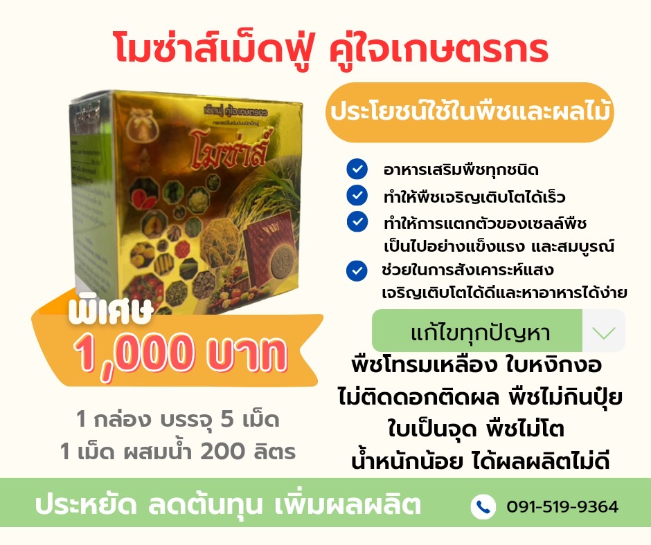 โมซ่าส์ กล่องใหม่ ปี 2566