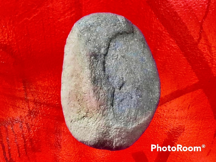 พระเม็ดบัว เจ้าคุณโพธิ์ วัดชัยพฤกษ์มาลา กรุงเทพมหานคร