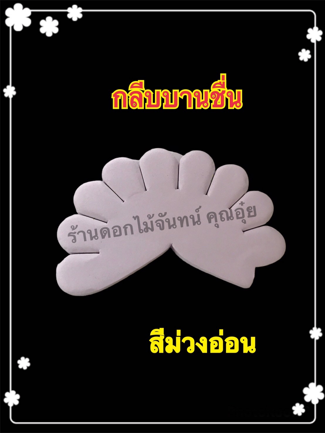 กลีบบานชื่น สีม่วงอ่อน
