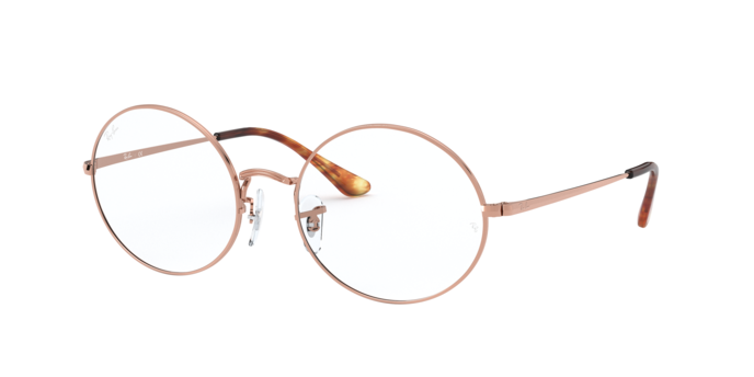 RayBan RX1970V 2943