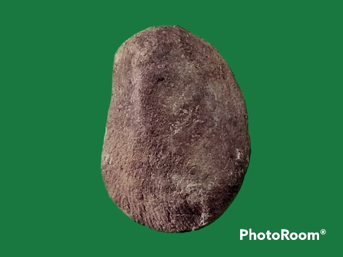 พระเม็ดบัว เจ้าคุณโพธิ์ วัดชัยพฤกษ์มาลา กรุงเทพมหานคร