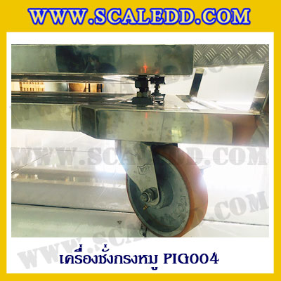 เครื่องชั่งหมูแบบกรงสแตนเลสพร้อมล้อเลื่อน built in printer ยี่ห้อ SDS รุ่น IDS701-PLCD พิกัด 300kg ความละเอียด 100g