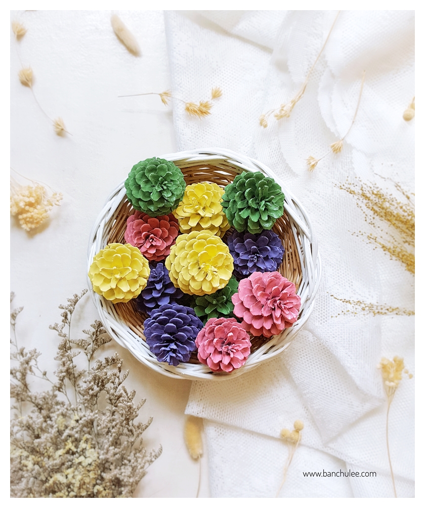 Colorful Pine Cone ลูกสนธรรมชาติ พ่นสี