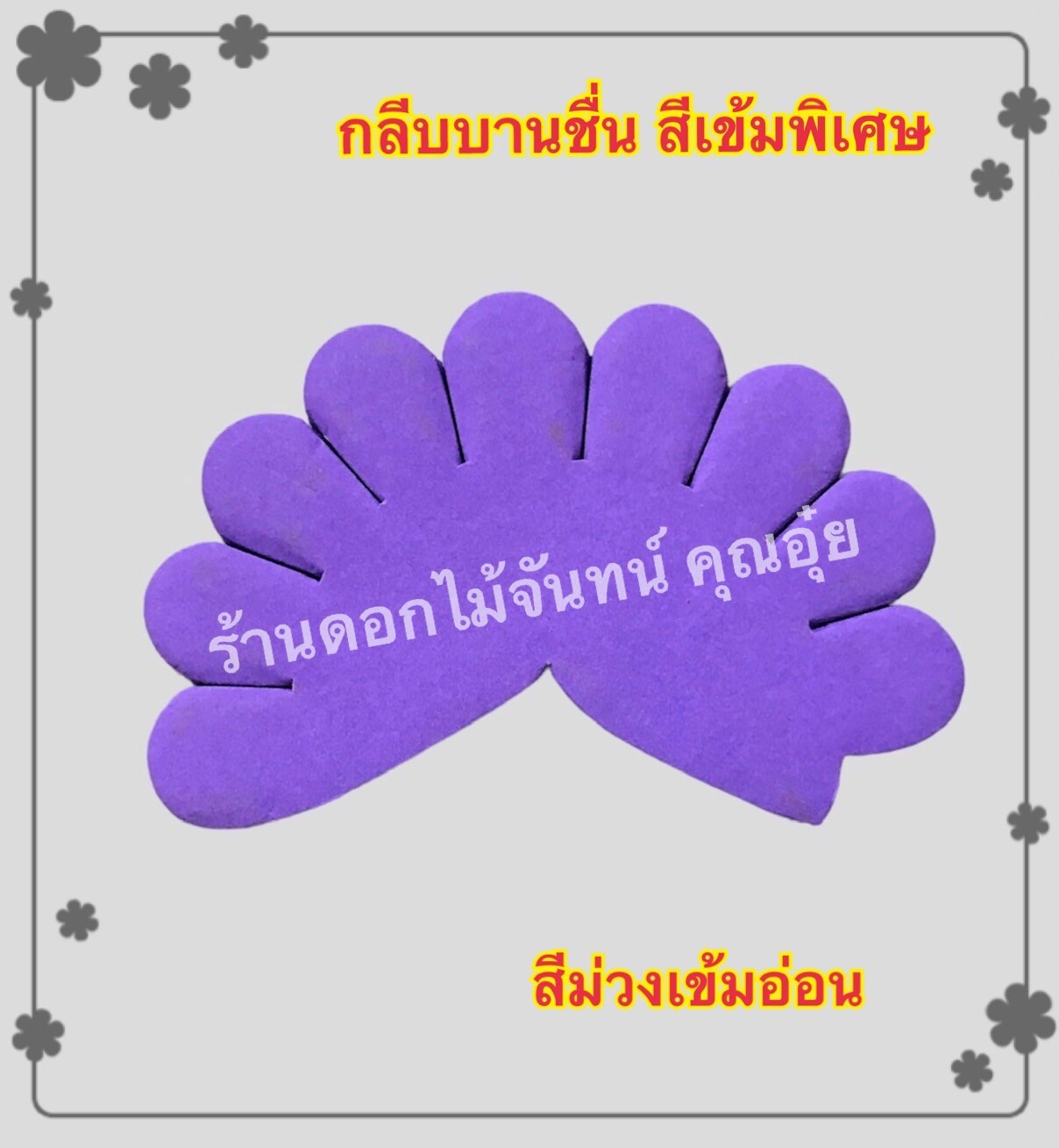 กลีบบานชื่น สีม่วงเข้มอ่อน