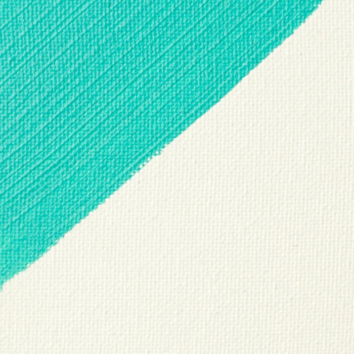 Liquitex Professional Gesso 473ml - Clear