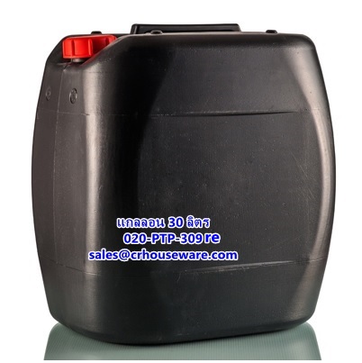 แกลลอนรีไซเคิล ขนาด 30 ลิตร รหัสสินค้า 020-PTP-309RE