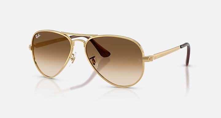RayBan RB3925 001/51 Aviator max