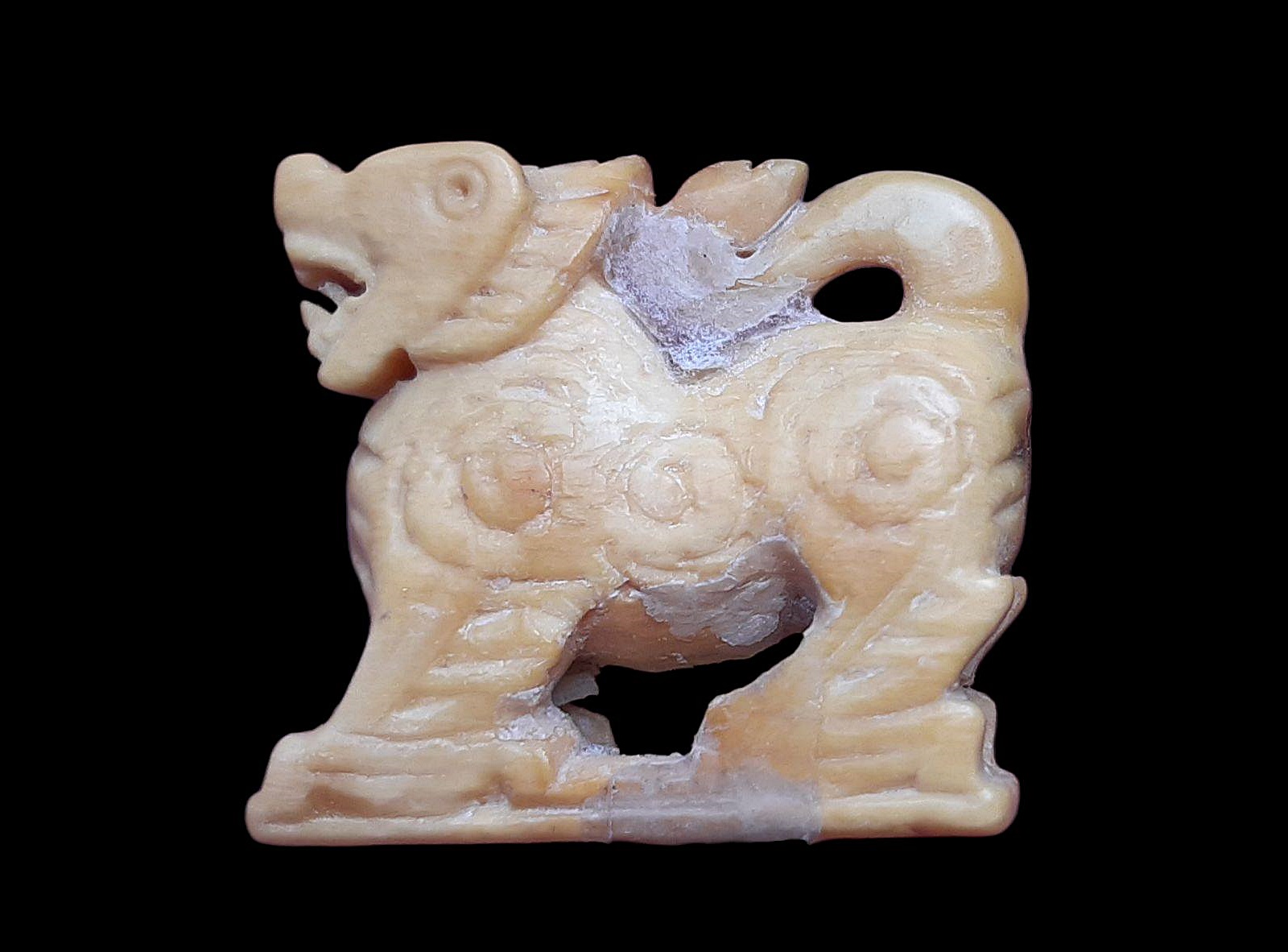 สิงห์ งาแกะ ๓ ขวัญหลวงพ่อเดิม วัดหนองโพ นครสวรรค์ ปี ๒๔๗๐-๒๔๘๒ เนื้องาแกะ ขนาดประมาณ ๒ cm. ก้นอุด