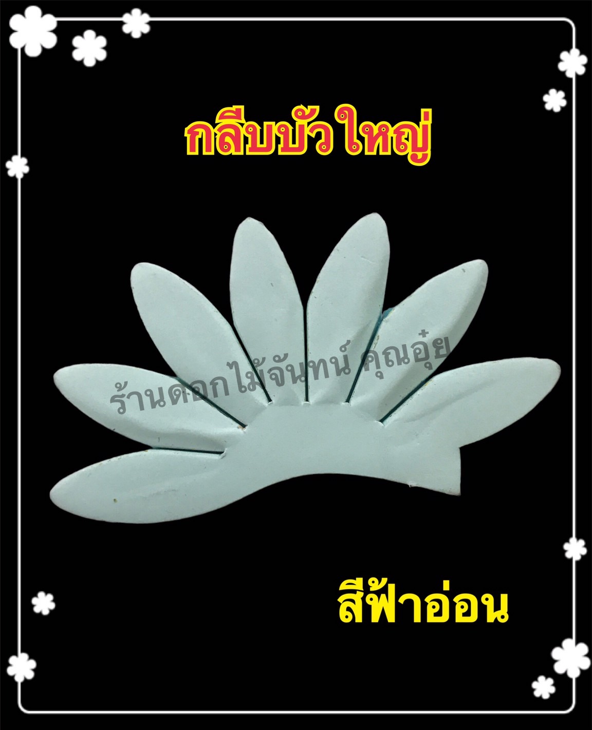 กลีบบัวใหญ่ สีฟ้าอ่อน
