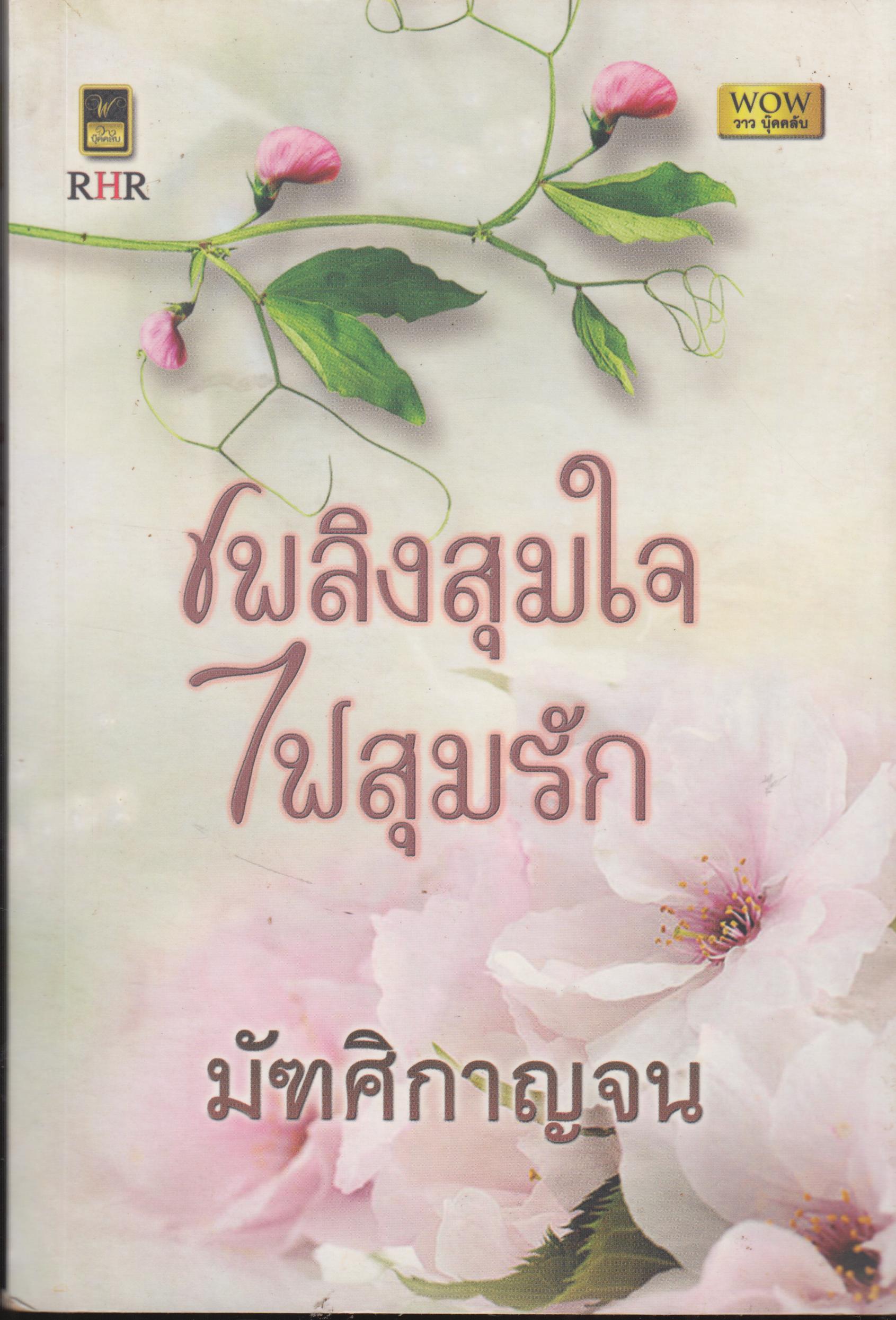 เพลิงสุมใจ ไฟสุมรัก เล่มเดียวจบ