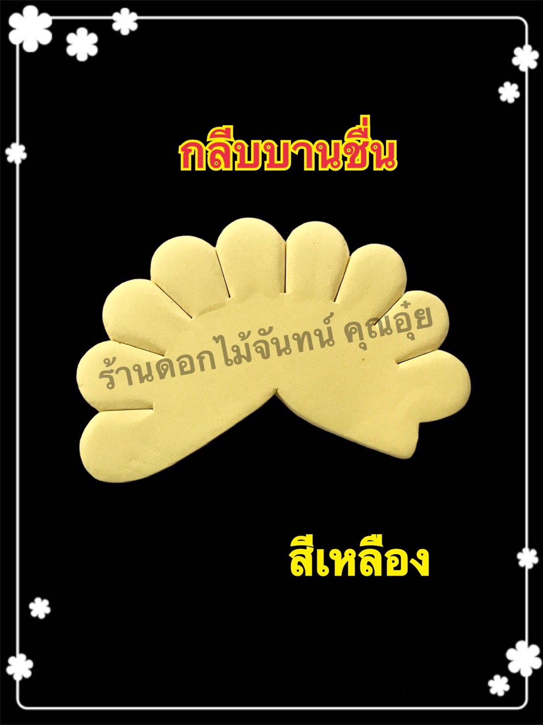 กลีบบานชื่น สีเหลือง