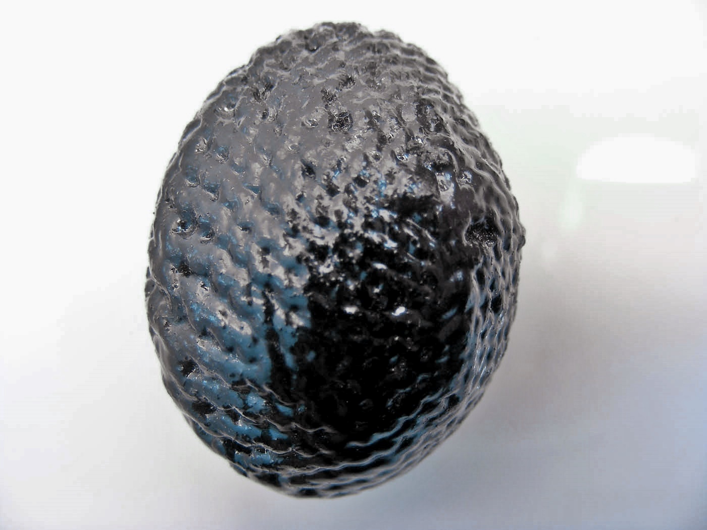 เบี้ยแก้ หลวงปู่เจือ วัดกลางบางแก้ว จังหวัดนครปฐม