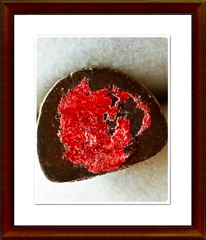 รูปเหมือนหลวงปู่ทองฤทธิ์ วัดป่าฉันทนิมิตร จ.กาฬสินธุ์