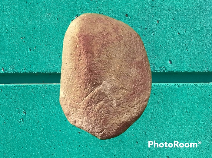 พระเม็ดบัว เจ้าคุณโพธิ์ วัดชัยพฤกษ์มาลา กรุงเทพมหานคร