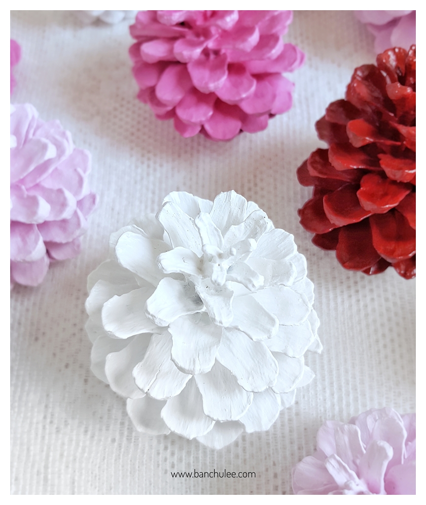Painted Pine Cone ลูกสนธรรมชาติ ทาสีอะครีลิคสำหรับงานไม้