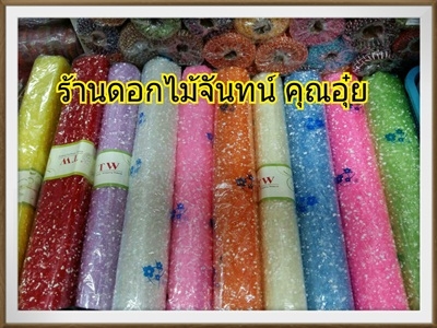 รามี่โฟม