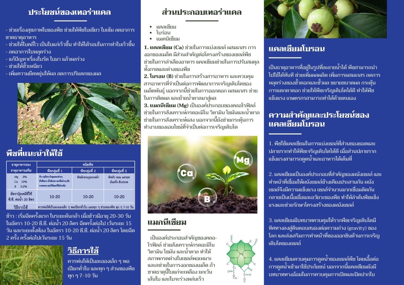 เทอร์ร่าแคล