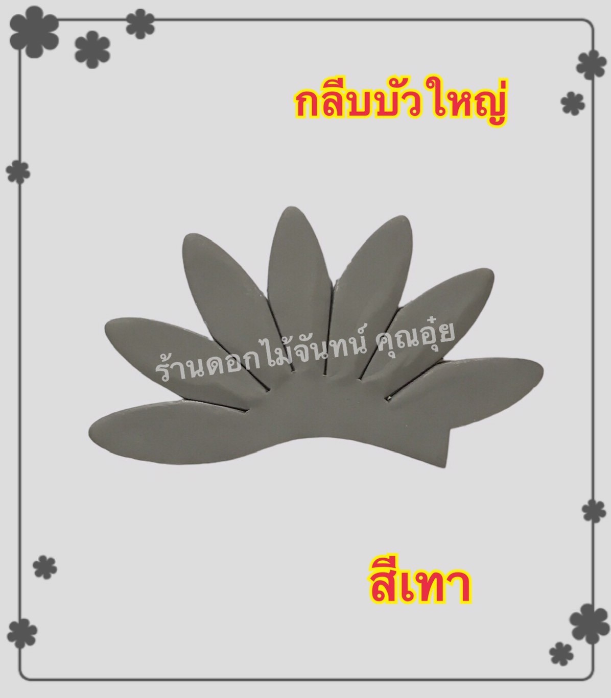 กลีบบัวใหญ่ สีเทา