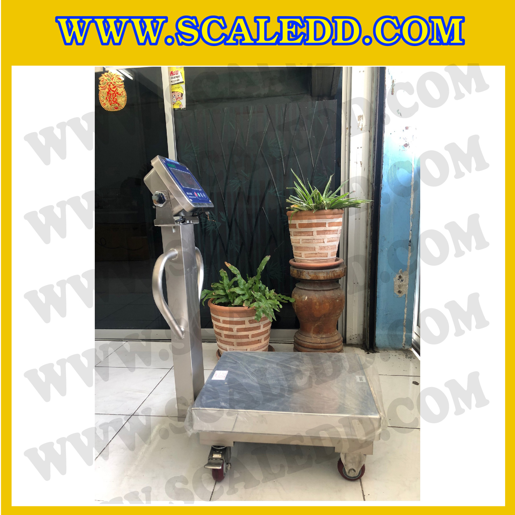 เครื่องชั่งตั้งพื้นกันน้ำสแตนเลสพร้อมล้อ 150kg รุ่น JWI-520 ขนาดแท่น 40x50 cm. เครื่องชั่งกันน้ำ150kg เครื่องชั่งดิจิตอล150kg ตาชั่งกันน้ำ 150kg ตาชั่งดิจิตอลกันน้ำสแตนเลสมีล้อ 150 กิโลกรัม พิกัด 150kg ความละเอียด 10g ยี่ห้อ JADEVER