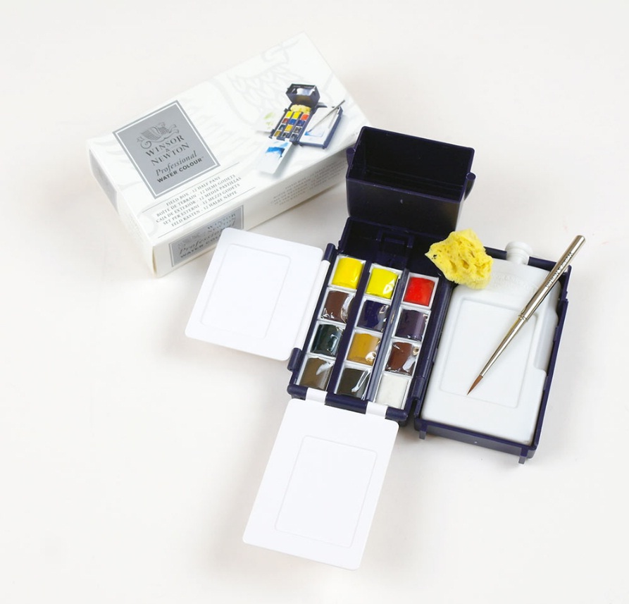 Winsor & Newton Professional Watercolour Field Box Set of 12