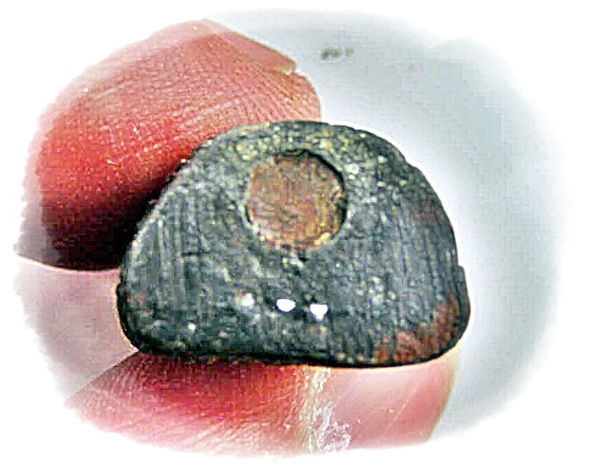 รูปเหมือนหล่อกริ่ง พระครูดิตถารามคณาศัย (หลวงพ่อชม คุณาราโม) วัดท่าไทร จ.สุราษฎร์ธานี