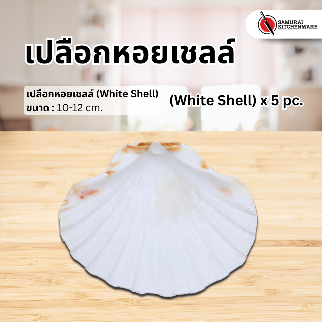 เปลือกหอยเชลล์ (White Shell) x 5 pcs.