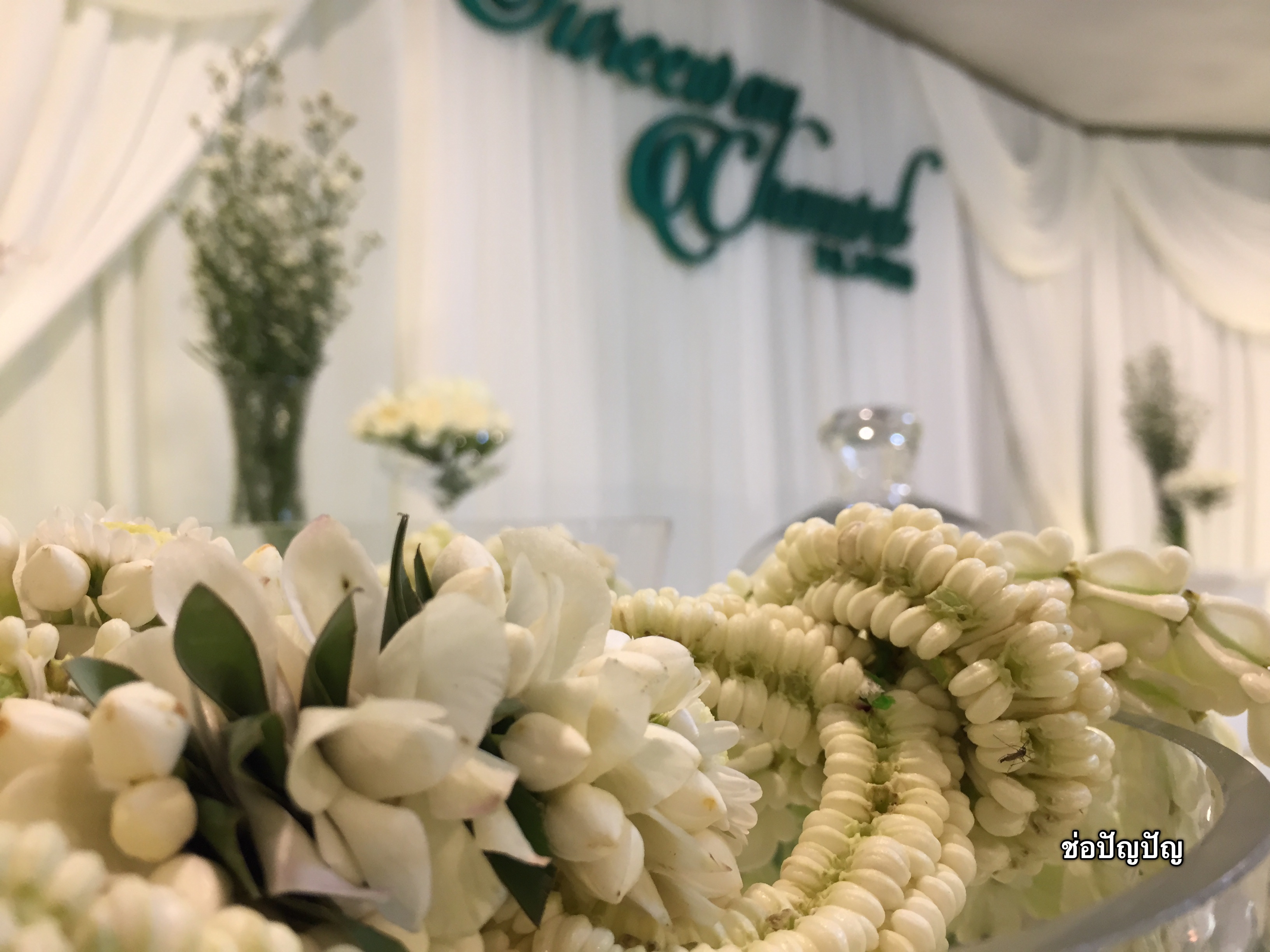 สถานที่หลั่งน้ำสังข์,แบคดรอปหลั่งน้ำสังข์ โทนขาวเขียว