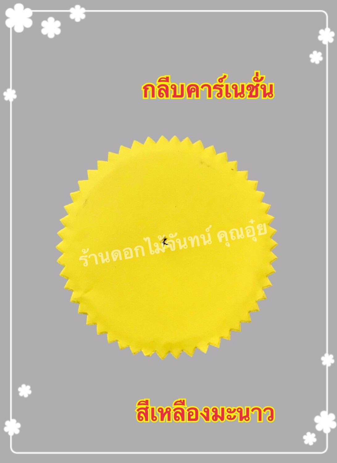 กลีบคาเนชั่น สีเหลืองมะนาว