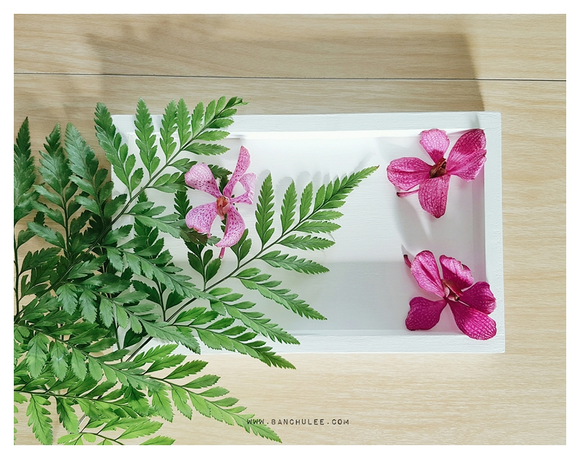 White Wooden Tray