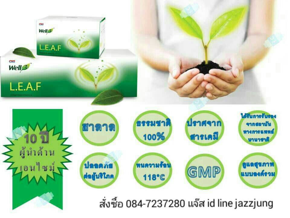 เอนไซม์ Enzyme