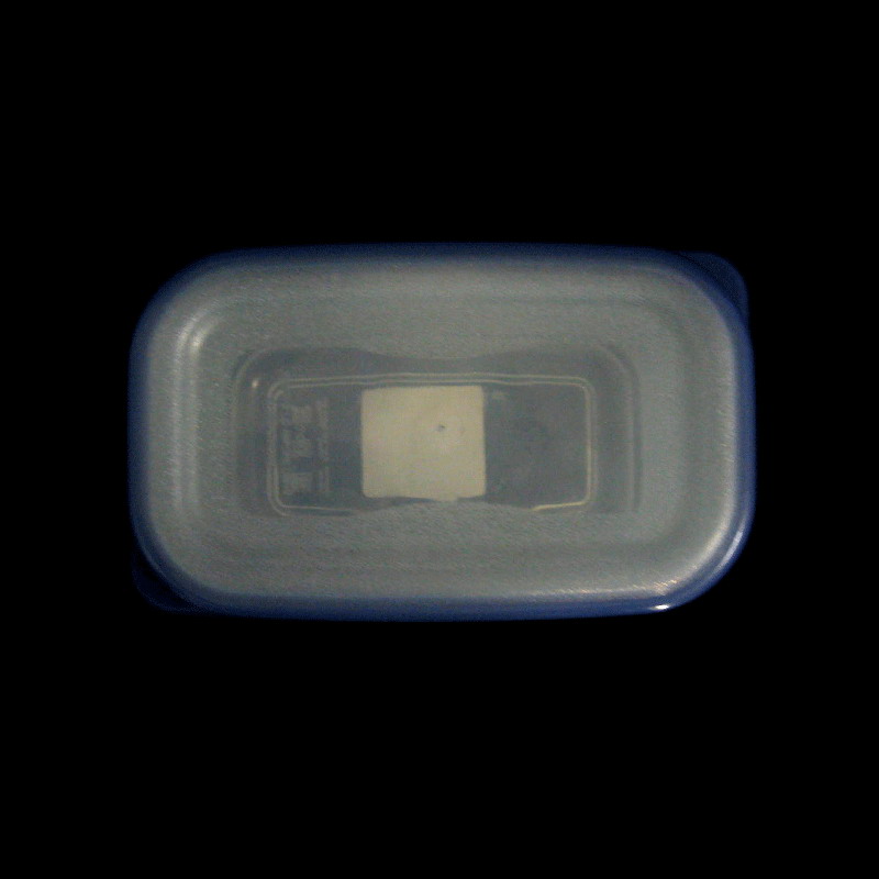 กล่องพลาสติก Micro ban JCP # 5034