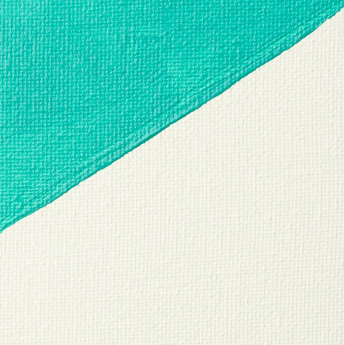 Liquitex Professional Gesso 473ml - White