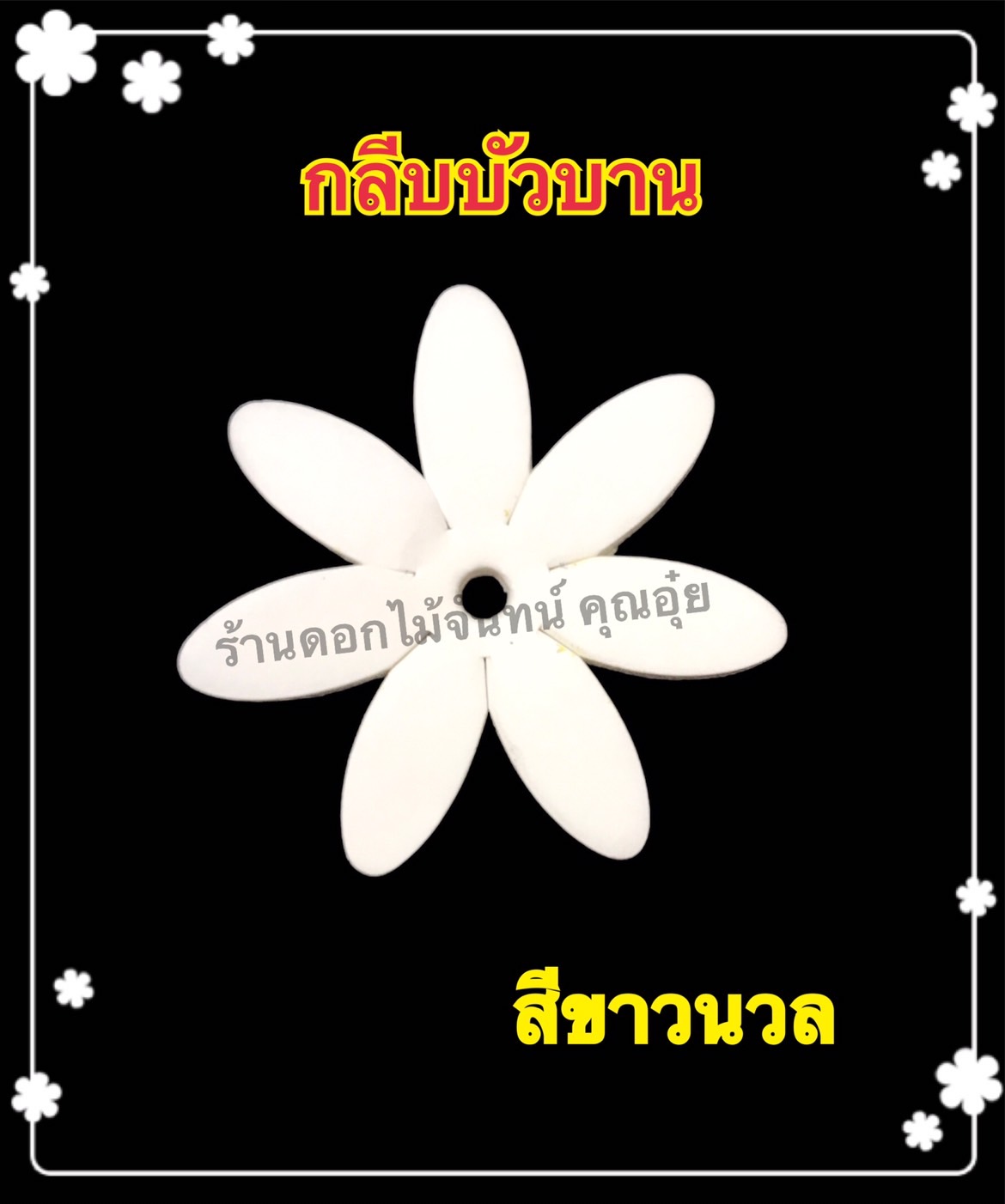 กลีบบัวบาน สีขาวนวล