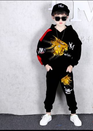ชุดเต้น ชุดฮิปฮอปแขนยาว ลายสิงห์