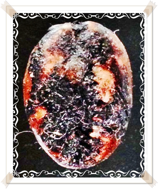 เบี้ยแก้ หลวงพ่อนุ่ม วัดนางใน จ.อ่างทอง