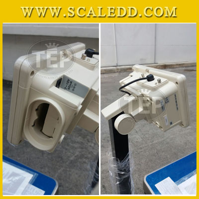 เครื่องชั่งน้ำหนักดิจิตอล พิกัด60กิโลกรัม ความละเอียด5g ยี่ห้อ AND รุ่น FG-60 แท่นชั่ง39*53cm (เครื่องชั่งผ่านตรวจรับรองจากสำนักชั่งตวงวัด)