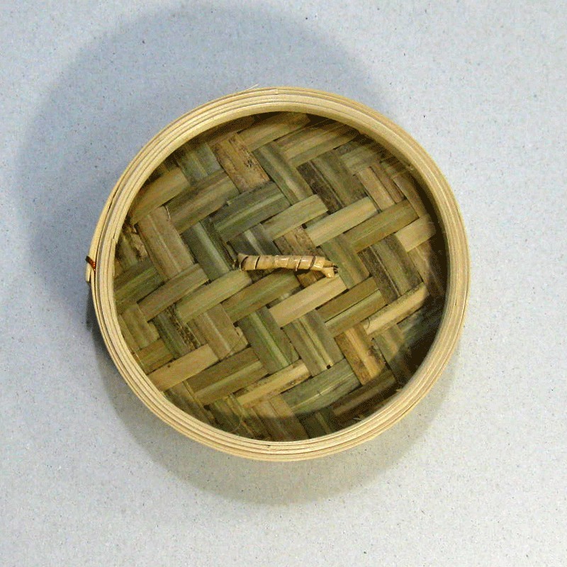 ฝาเข่งติ่มซำ ขนาด 5 นิ้ว