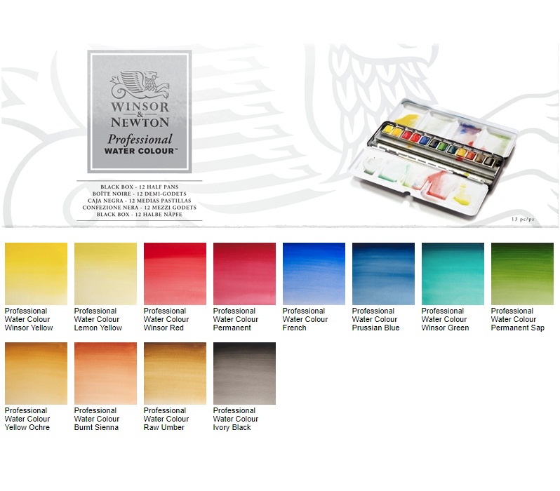 Winsor & Newton Professional Watercolor Black Box Set of 12