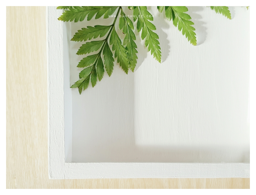 White Wooden Tray