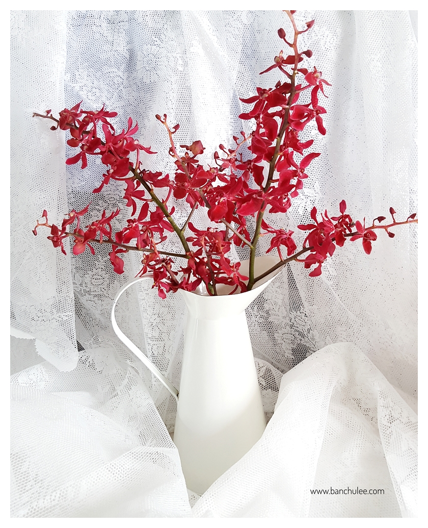 Shabby Chic Enamel Vase แจกันอีนาเมล สีขาว ทรงเหยือก