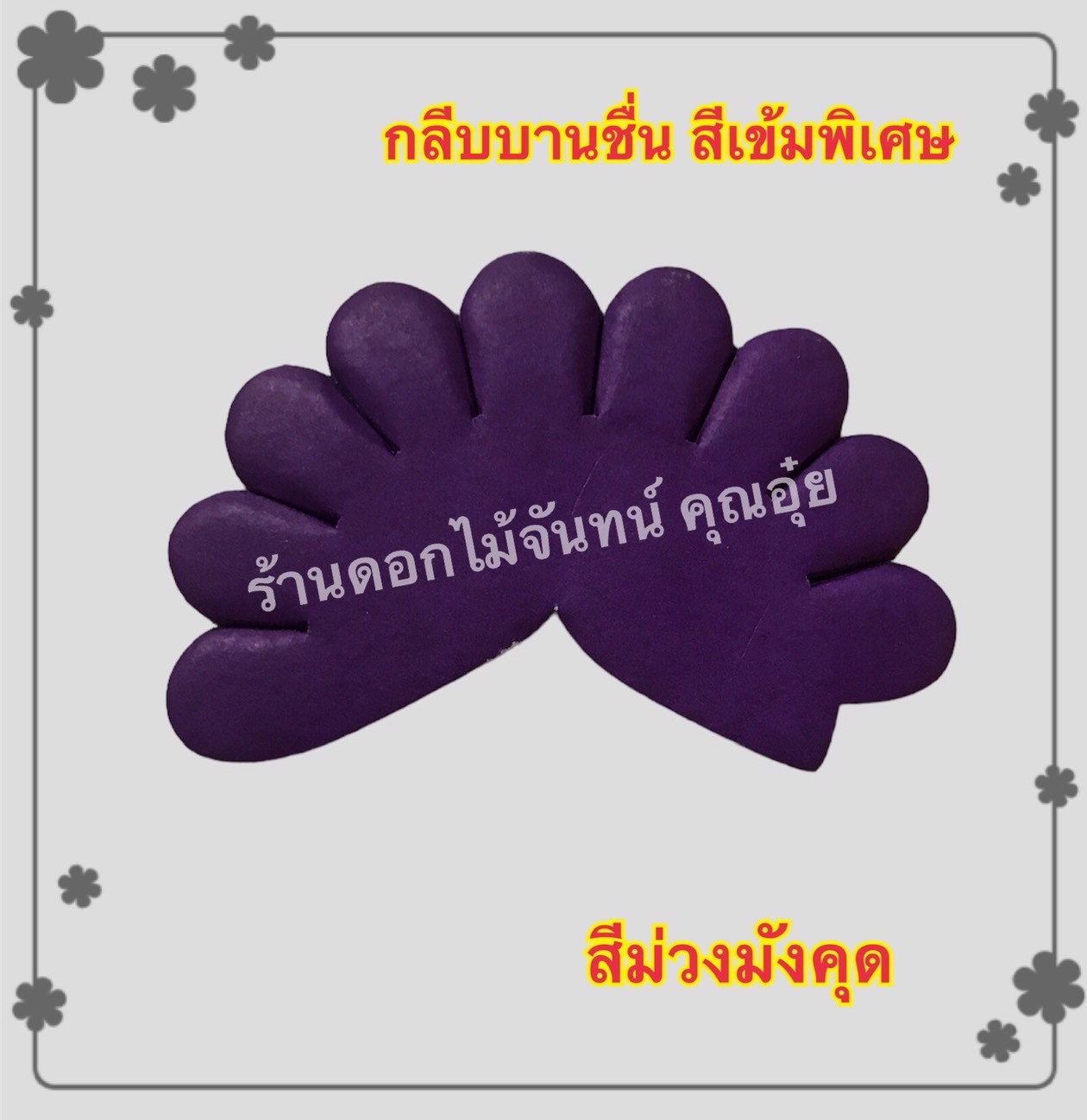 กลีบบานชื่น สีมังคุด