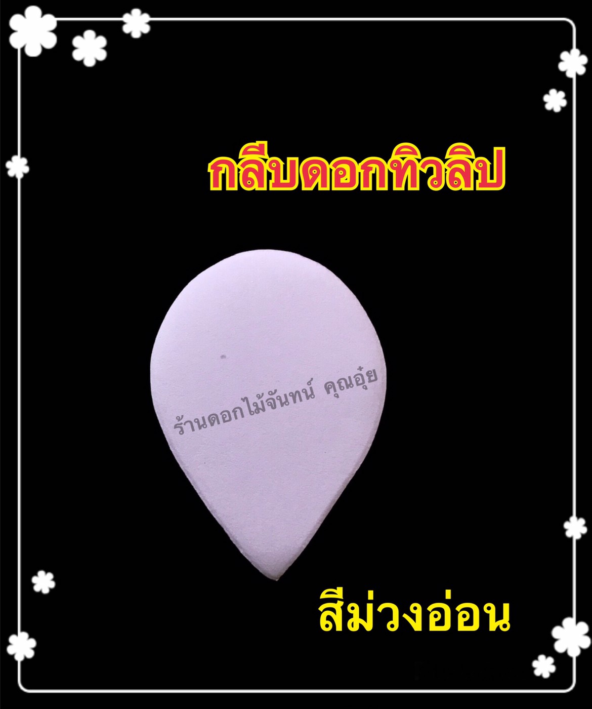 กลีบดอกทิวลิป สีม่วงอ่อน