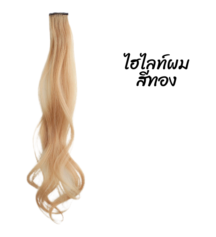 พร้อมส่ง กิ๊บติดผม ไฮไลท์สีผมเด็ก เปียผม เปียถักร้อย