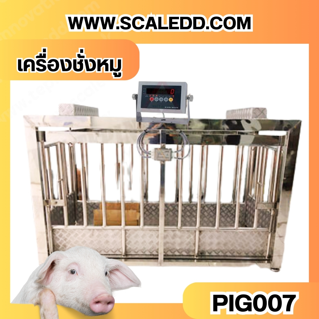 เครื่องชั่งหมู500kg ตาชั่งหมูกรงสแตนเลส เครื่องชั่งหมู กรงชั่งหมู ตาชั่งหมู500kg ตาชั่งน้ำหนักหมู พิกัด 500kg ความละเอียด 100g ยี่ห้อ SDS รุ่น IDS701-SS