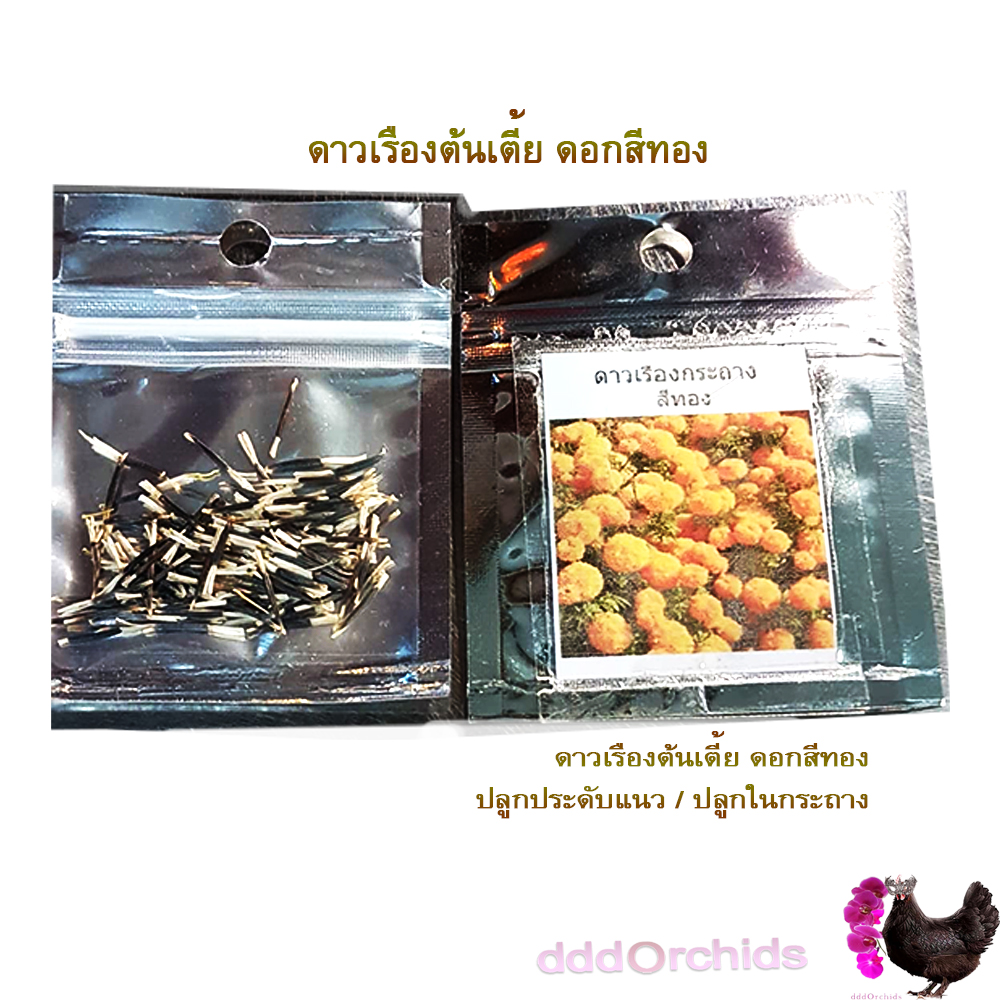 เมล็ดพันธุ์ดาวเรืองกระถาง ดอกสีเหลือง / สีส้ม / สีส้มทอง ดาวเรืองปลูกประดับแปลง หรือปลูกประดับขอบสวน ริมทางเดิน มีซองหลายปริมาณให้เลือก