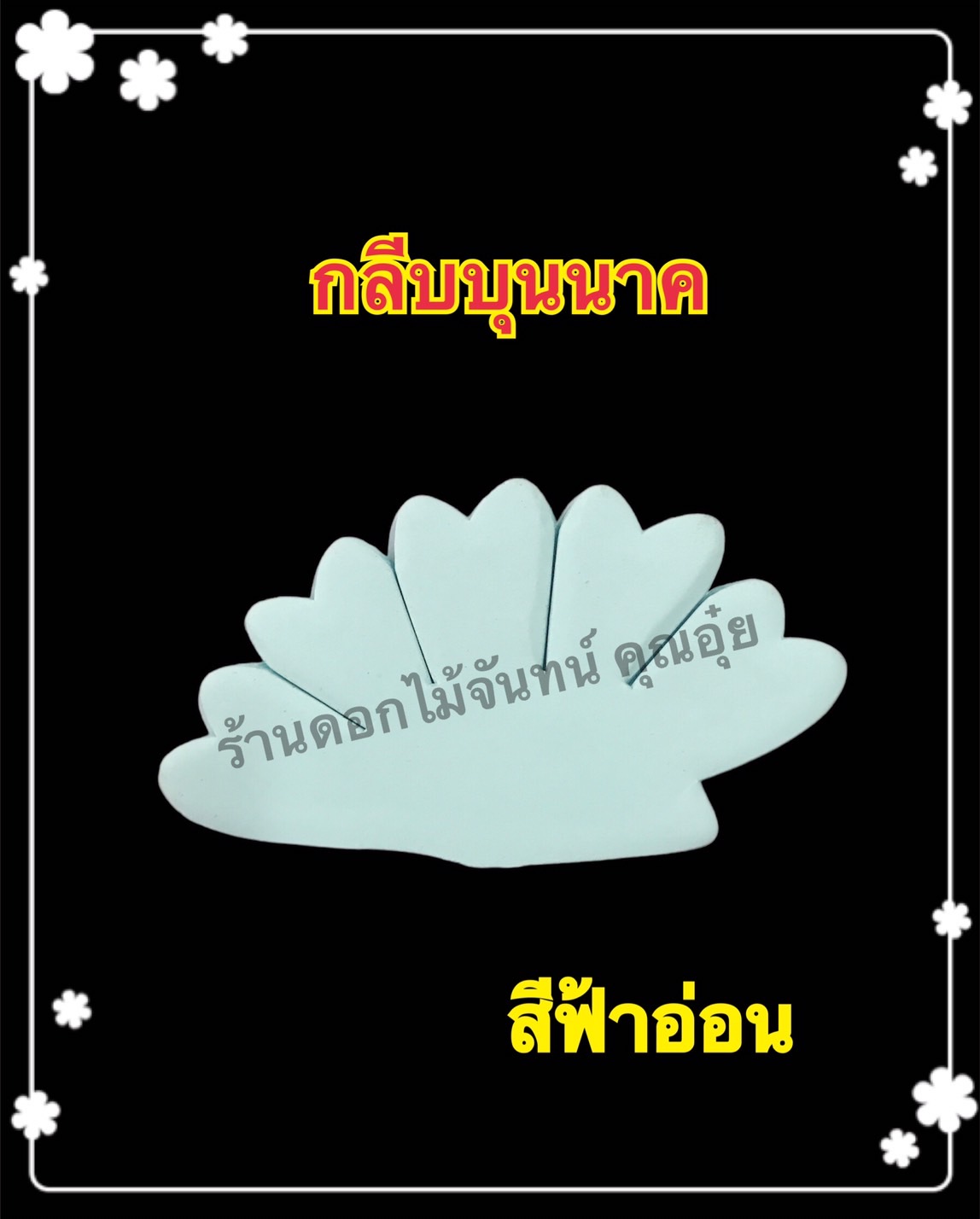 กลีบบุนนาค สีฟ้าอ่อน